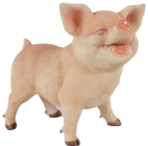Pig Product