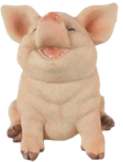 Pig Product