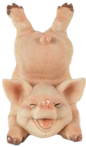 Pig Product