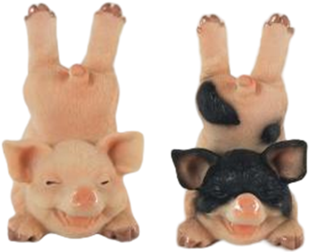 Pig Product