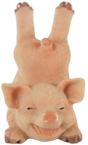 Pig Product