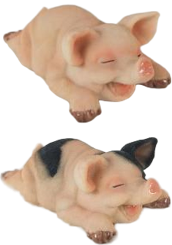 Pig Product