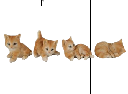Cat Product