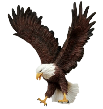 Bird Product