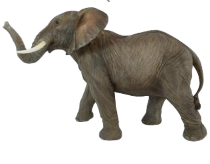 Elephant Product