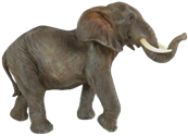 Elephant Product