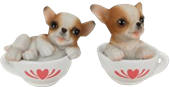 Dog Product