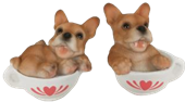 Dog Product