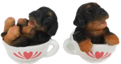 Dog Product