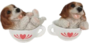 Dog Product