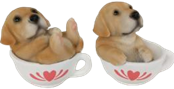 Dog Product
