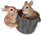 Rabbit Product