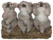 Koala Product