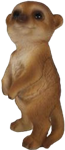 Meerkat Product
