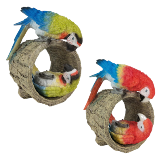 Bird Product