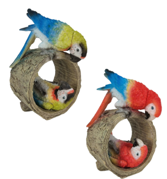 Bird Product