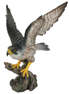 Bird Product