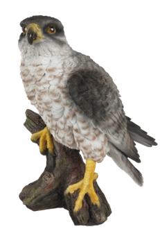 Bird Product
