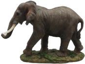 Elephant Product