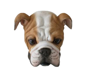 Animal Ornament