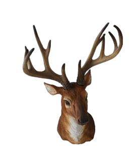 Animal Ornament