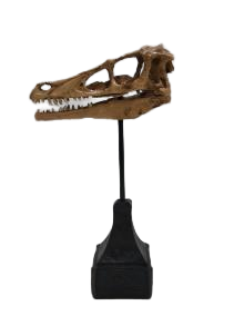Animal Ornament