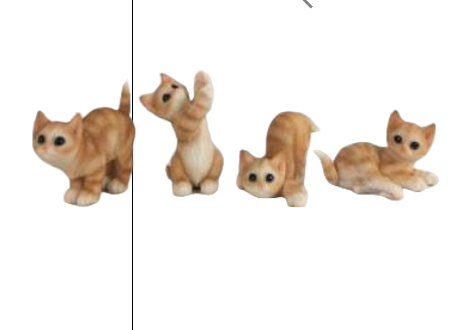 Cat Product