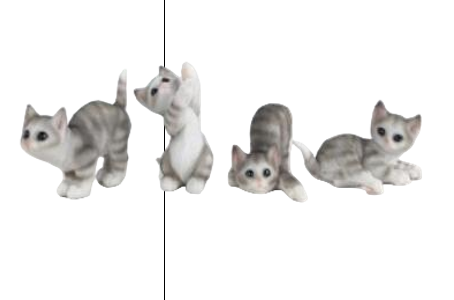 Cat Product