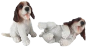 Dog Product