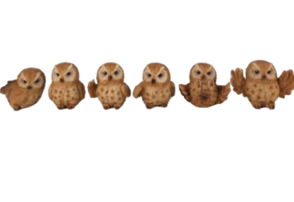 Owl Product