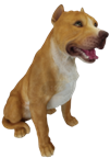 Dog Product