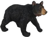 Black Bear Product