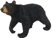 Black Bear Product
