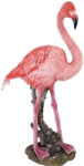 Flamingo Product