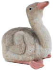Flamingo Product
