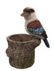 Bird Product