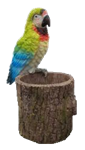 Bird Product