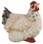 Chicken Product