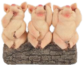 Pig Product