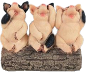 Pig Product