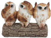 Owl Product