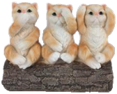 Cat Product