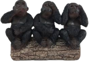 Chimpanzee Product