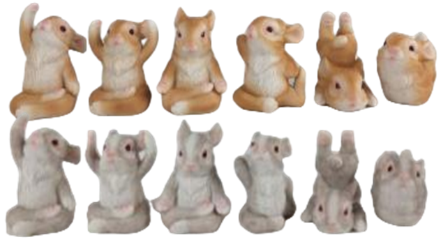 Rabbit Product