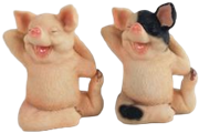 Pig Product