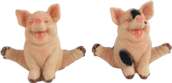 Pig Product