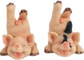 Pig Product