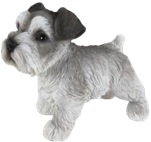 Dog Product