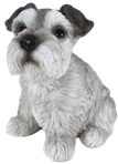 Dog Product