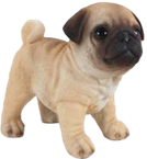 Dog Product